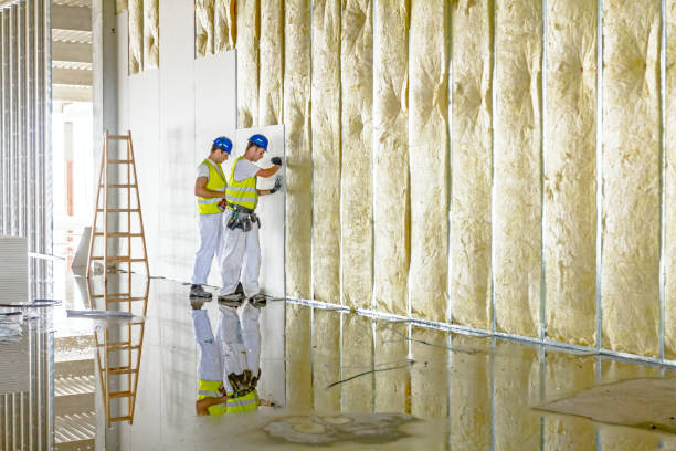 Best Local Insulation Services  in Elmwood Park, IL